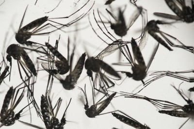 First case of Zika reported in West Virginia