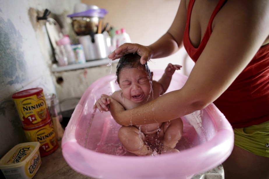 Breakthrough Study Shows Strong Link Between Zika Virus, Severe Birth Defects