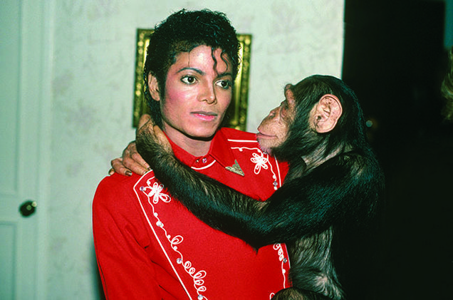 Jackson and Bubbles during the Victory tour in 1984.                  Sam Emerson  Polaris