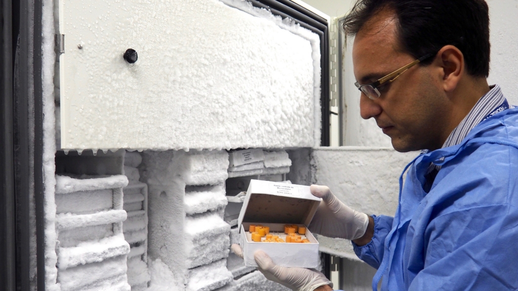 Lindomar Pena a virologist at a lab in Recife Brazil holds a box of vials used to store samples of the Zika virus in huge freezers