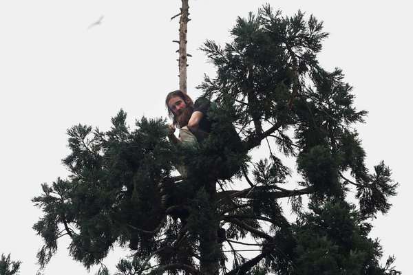 Man goes viral after staying in tree for 25 hours