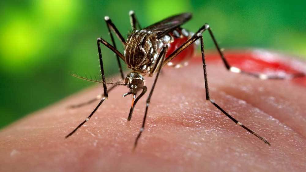 American woman tested positive for Zika while in PH