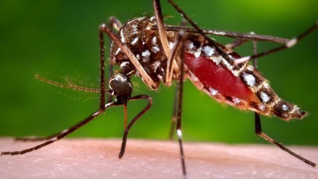 First case of Zika virus confirmed in Chicago