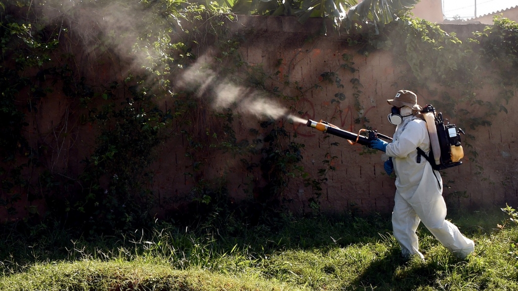 Zika outbreak 'will worsen before it gets better'