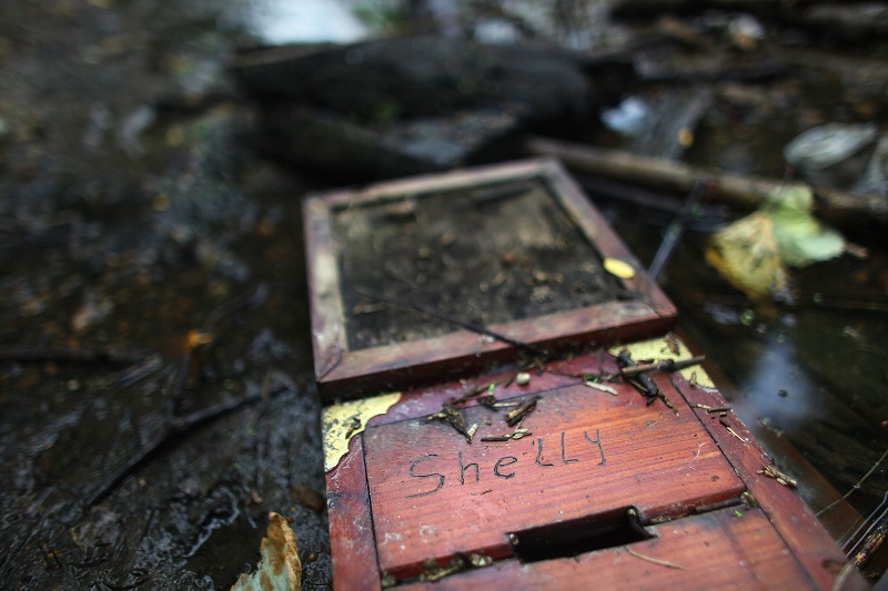 Louisiana flooding: Nearly 5000 homes damaged