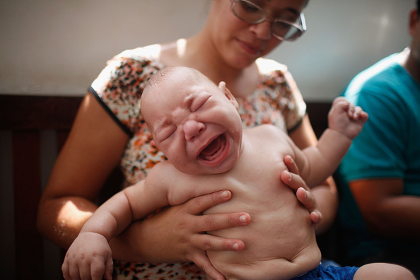 Brazil Faces New Health Epidemic As Mosquito Borne Zika Virus Spreads Rapidly