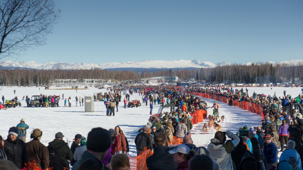 One dog has been killed after a high-speed crash in Alaska during the Iditarod Trail Sled Dog Race