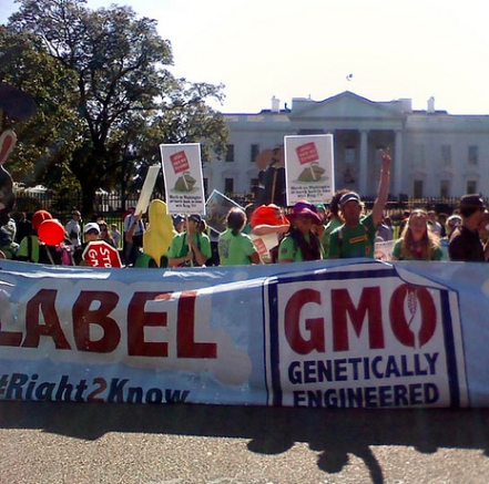 How the GMO Debate Became a National Nightmare