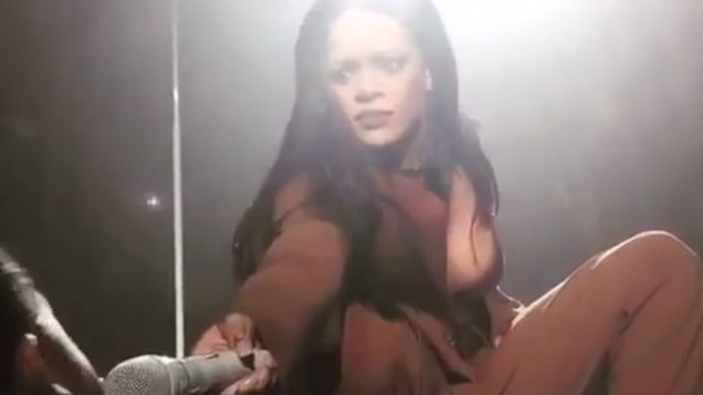 Rihanna Fan Steals the Show