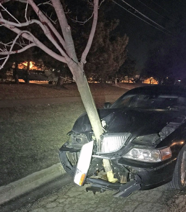 Roselle police pull over a car with a tree trunk stuck in the grille | Roselle police