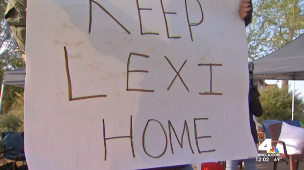 Santa Clarita Residents Rally to Save Lexi