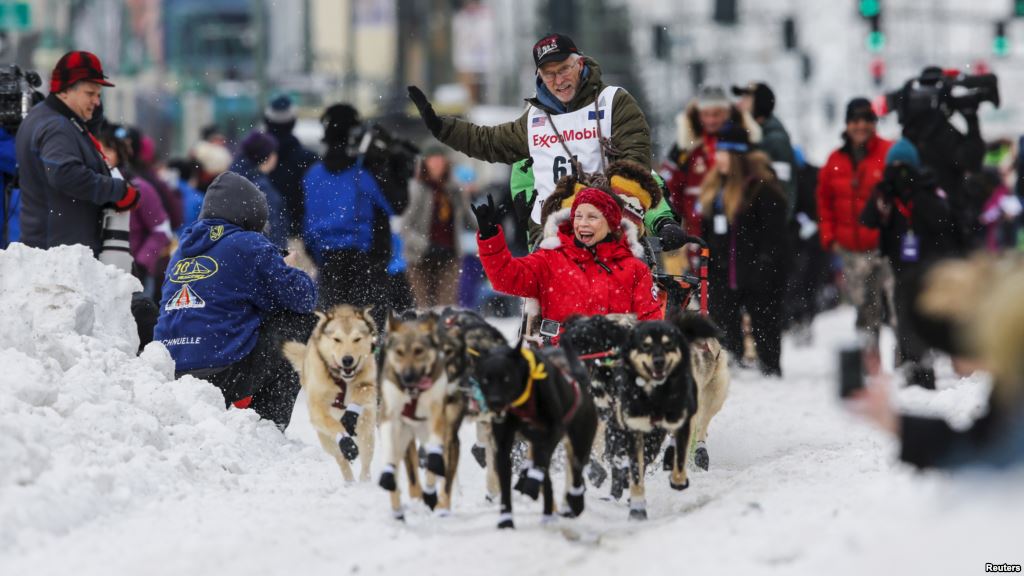 One dog on the team driven by Aliy Zirkle was hurt after being hit near the village of Nulato