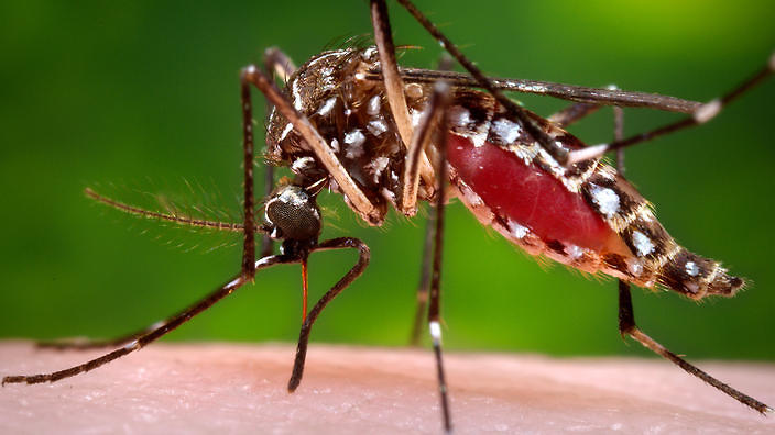 First case of Zika virus confirmed in Washington state