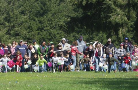 Children scramble onto the field to hunt for Easter Eggs during the 2015 Elma VFW Auxillary hunt. The 18th annual hunt will be held Saturday March 26 with lineup beginning at 11:30 a.m