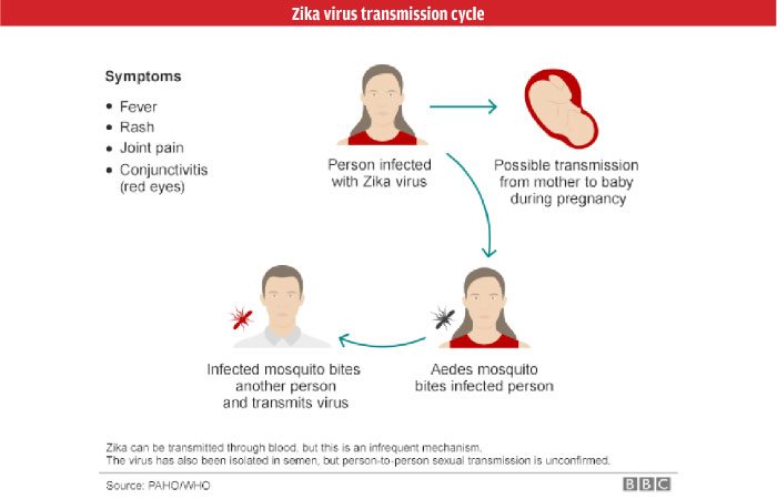 Zika Virus Cases in Contra Costa and Alameda Counties Confirmed