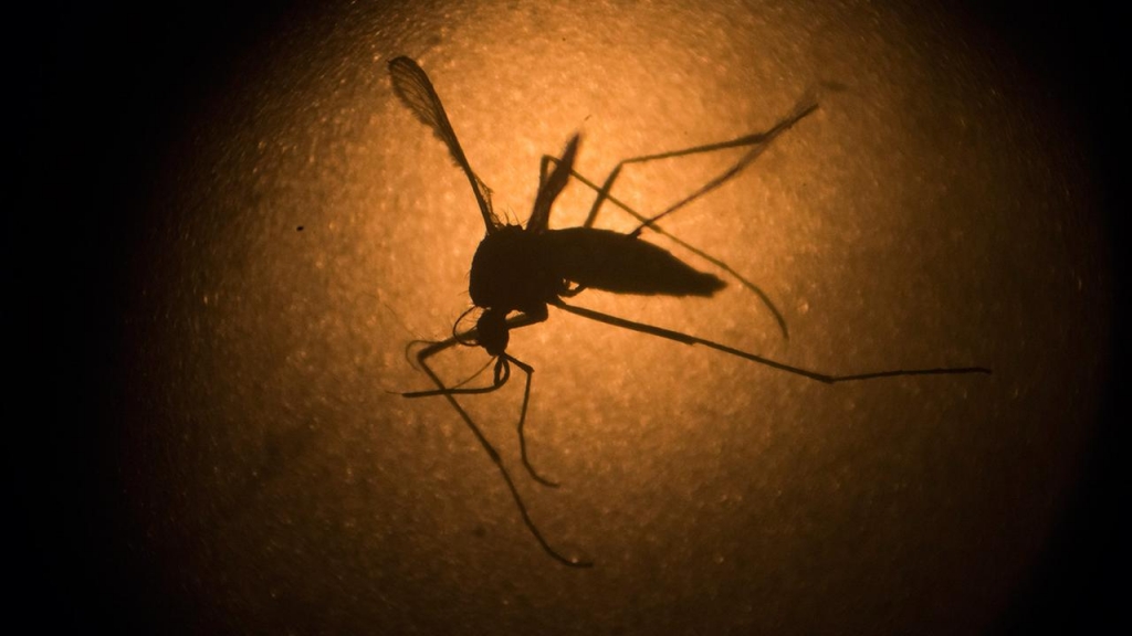 Austin health officials confirm 2nd Zika case from travel abroad