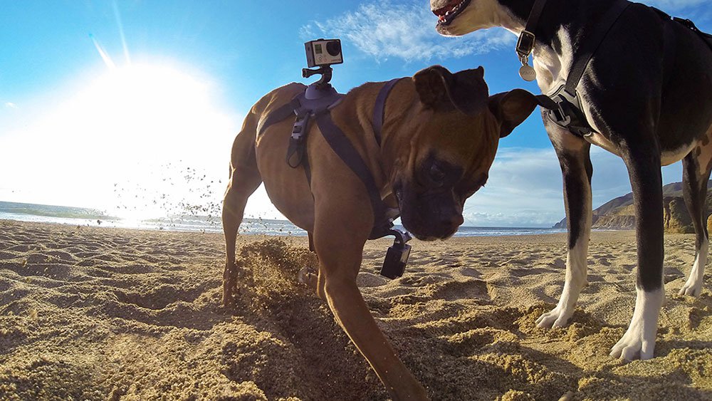 A Go Pro action camera goes for a ride