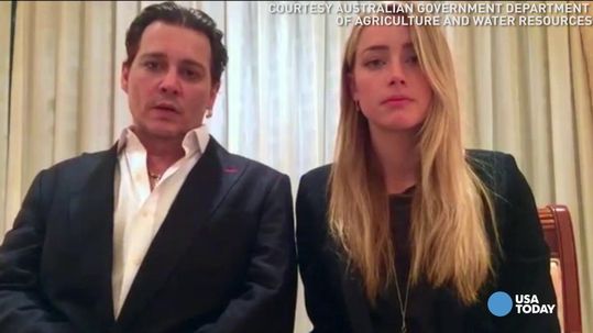 Amber Heard pleads guilty in Australian dog smuggling spat