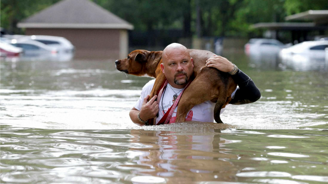 At least 8 dead in Houston-area floods more rain forecast