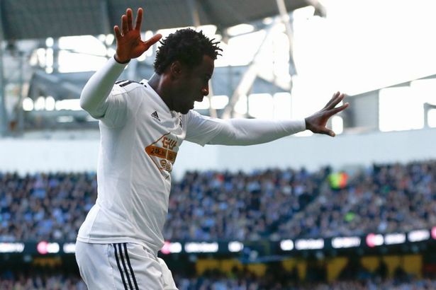 Wilfried Bony celebrates scoring for Swansea against Man City