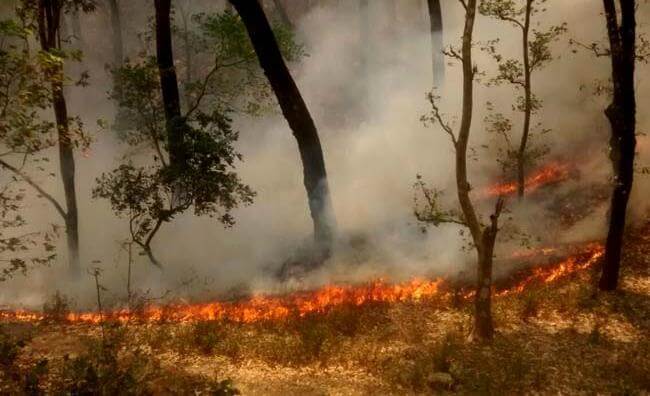 Uttarakhand-Forest-Fire