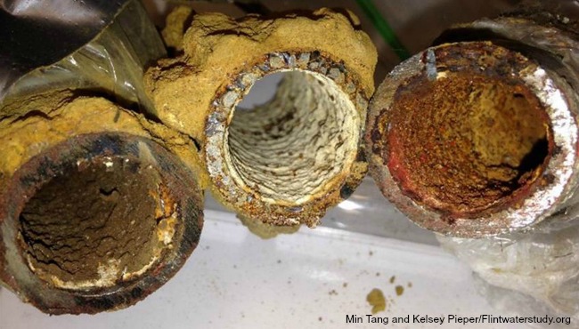 Disconnected drinking water pipes from Flint showing iron corrosion and rust