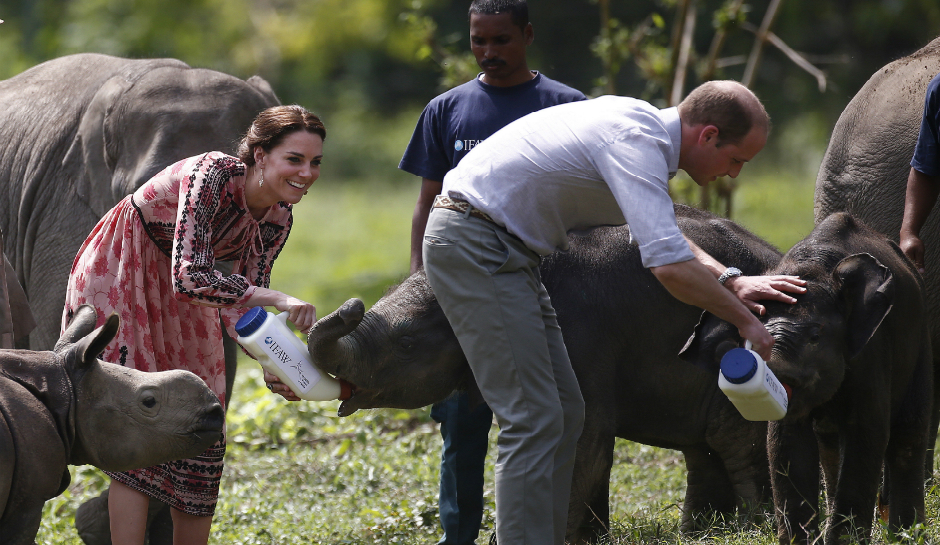 Prince William Princess Kate Feed animals in India