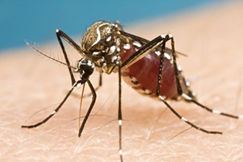 You can contract the Zika virus by having gay sex