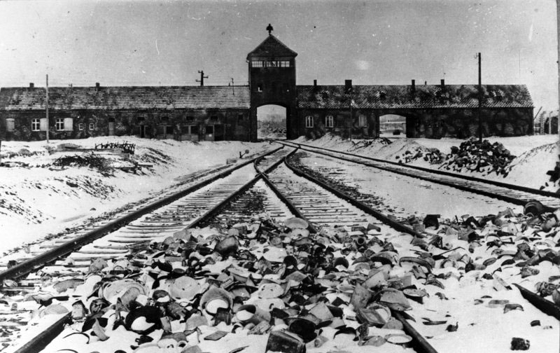 Former SS Guard'Ashamed Of Serving In Nazi Death Camp