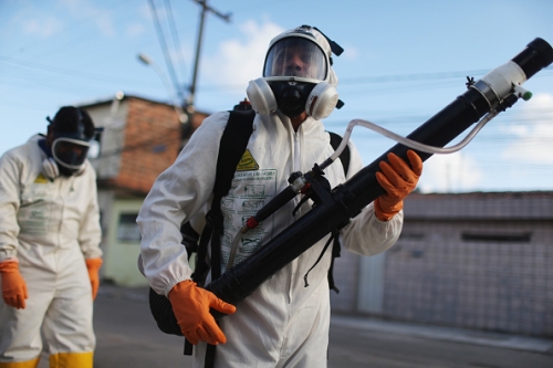 Brazil Faces New Health Epidemic As Mosquito Borne Zika Virus Spreads Rapidly