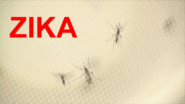 2nd Zika case confirmed in Arkansas