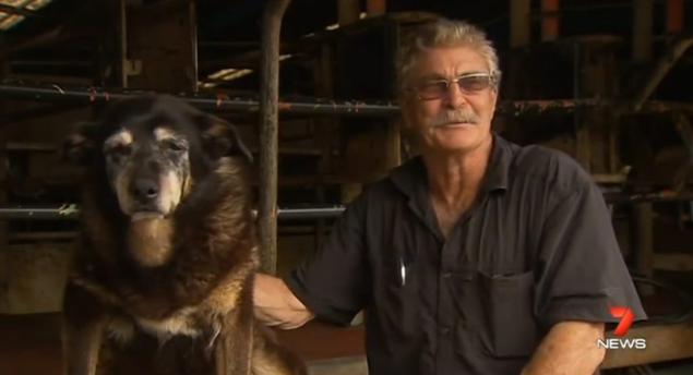 Maggie the Kelpie and Brian McLaren. On average dogs her size only live to be 10 to 13 years old