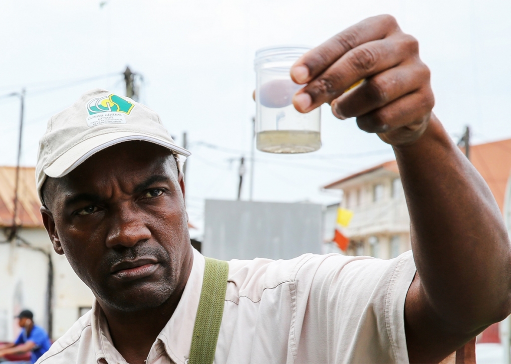 Collectivite Territoriale de Guyane collects mosquito larvae