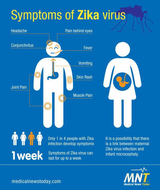 The symptoms of Zika virus