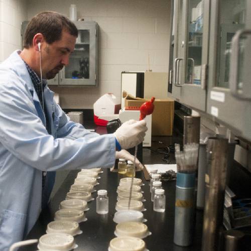 Michael Glasgow laboratory water quality supervisor tests water for bacteria and pH levels among other tests at the Flint water plant in Flint Mich. Glasgow was charged Wednesday