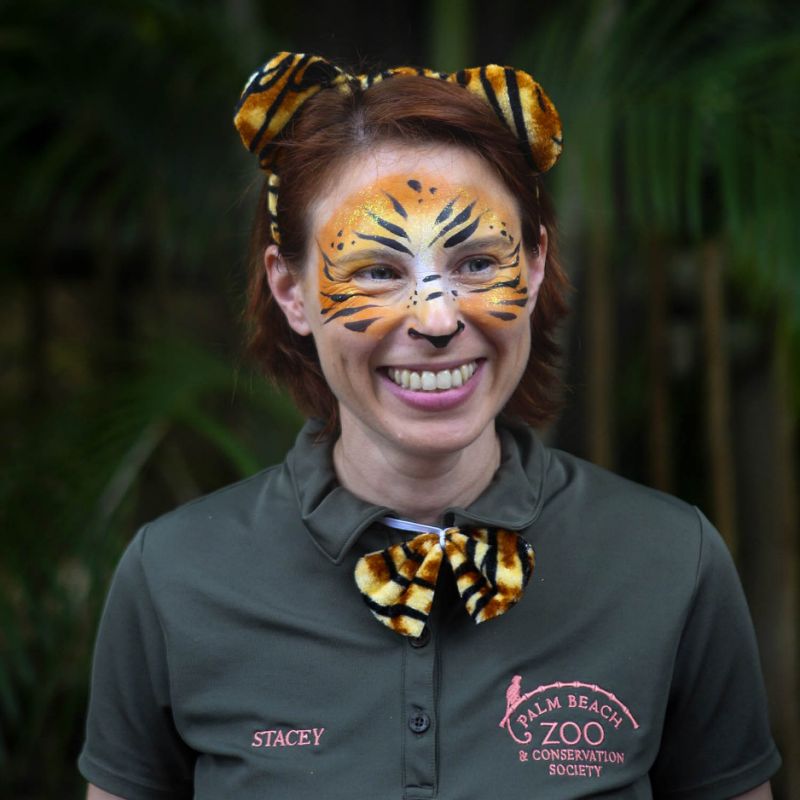 Stacey Konwiser smiles during the dedication of the new tiger habitat at the Palm Beach Zoo in West Palm Beach Fla. Stacey Konwiser 38 was attacked and killed by a 13-year-old male tiger in an enclosure known as the night