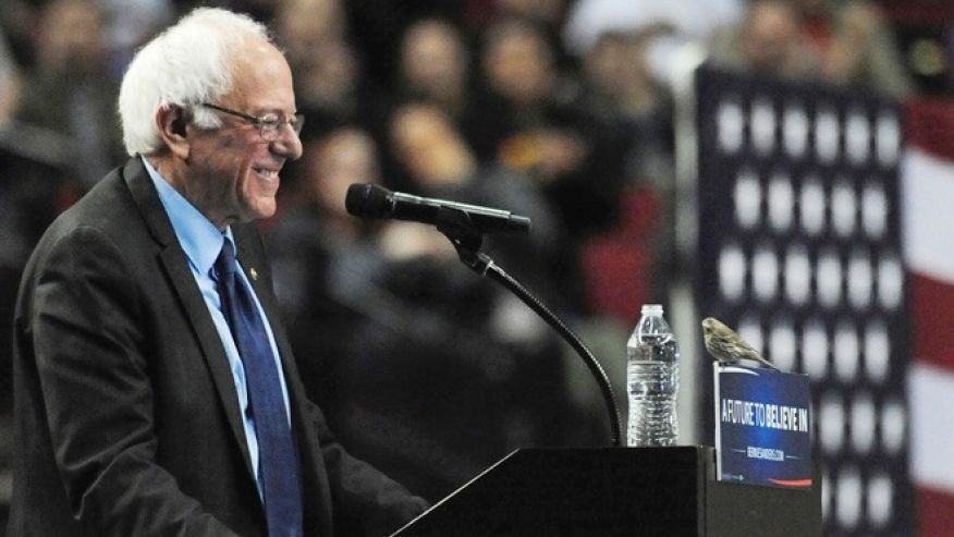 Democratic presidential candidate Sen. Bernie Sanders I-Vt. smiles as a bird lands on his podium as he speaks during a rally at the Moda Center in Portland Ore. Friday