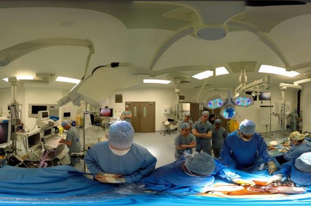 Virtual reality surgery