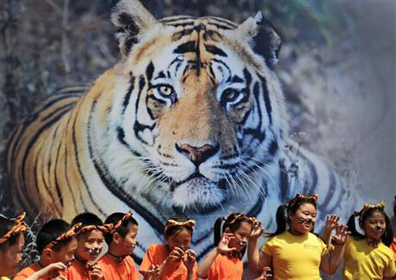 Cambodia's Tigers are Extinct. Will Malaysia be Next? Not if We Act