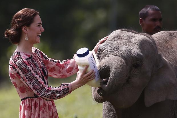 Travel agents expecting surge of bookings to India and Bhutan following Royal visit