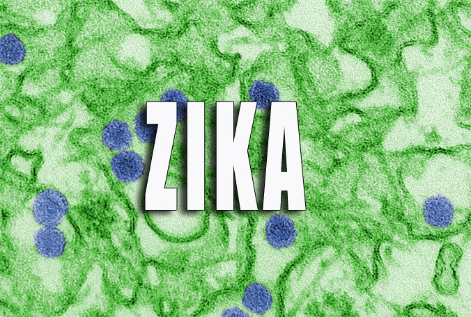 A colorized micrograph of the Zika virus. The CDC said a man who died in February is the United States first Zika-related death