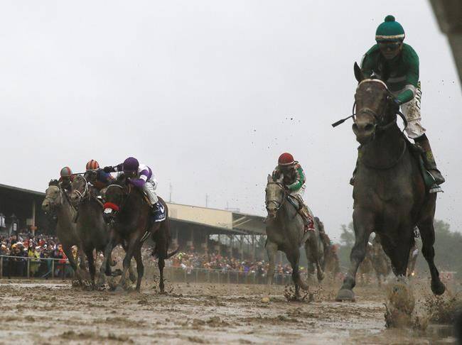 2 horses die in first 4 races on Preakness Day undercard