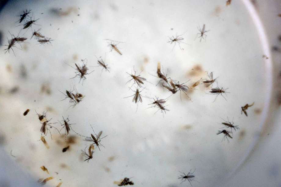 Beijing Health Authority Confirms First Imported Zika Case