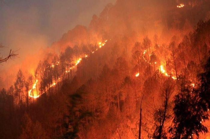 Forest fires in Uttarakhand_1