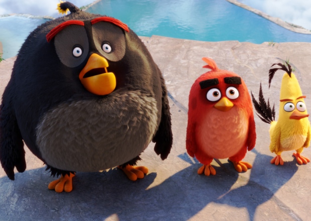 Scene from Angry Birds PA  Sony