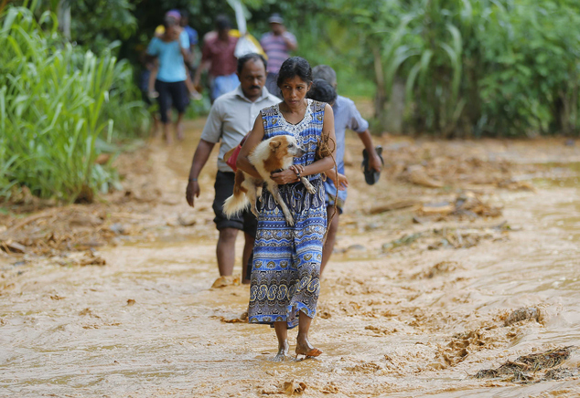 Sri Lankan landslide survivor caries her dog as she walks on the mud after a landslide in Elangipitiya village in Ar