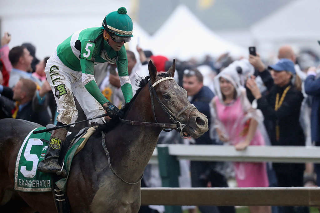 BALTIMORE MD- MAY 21 Exaggerator ridden by Kent Desormeaux leads the field to win the 141st running of the Preakness Stakes at Pimlico Race Course