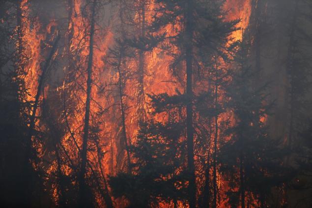 COLE BURSTON  AFP  Getty Images  Flames engulf trees along a highway near Fort McMurray Alberta on Friday