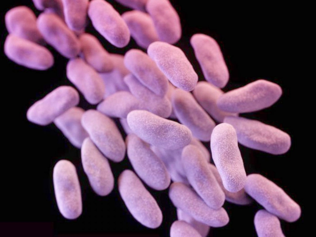 First Drug-Resistant'Superbug Could Be End of Antibiotic Era