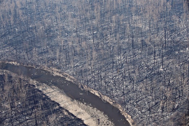 Fort Mc Murray Wildfire